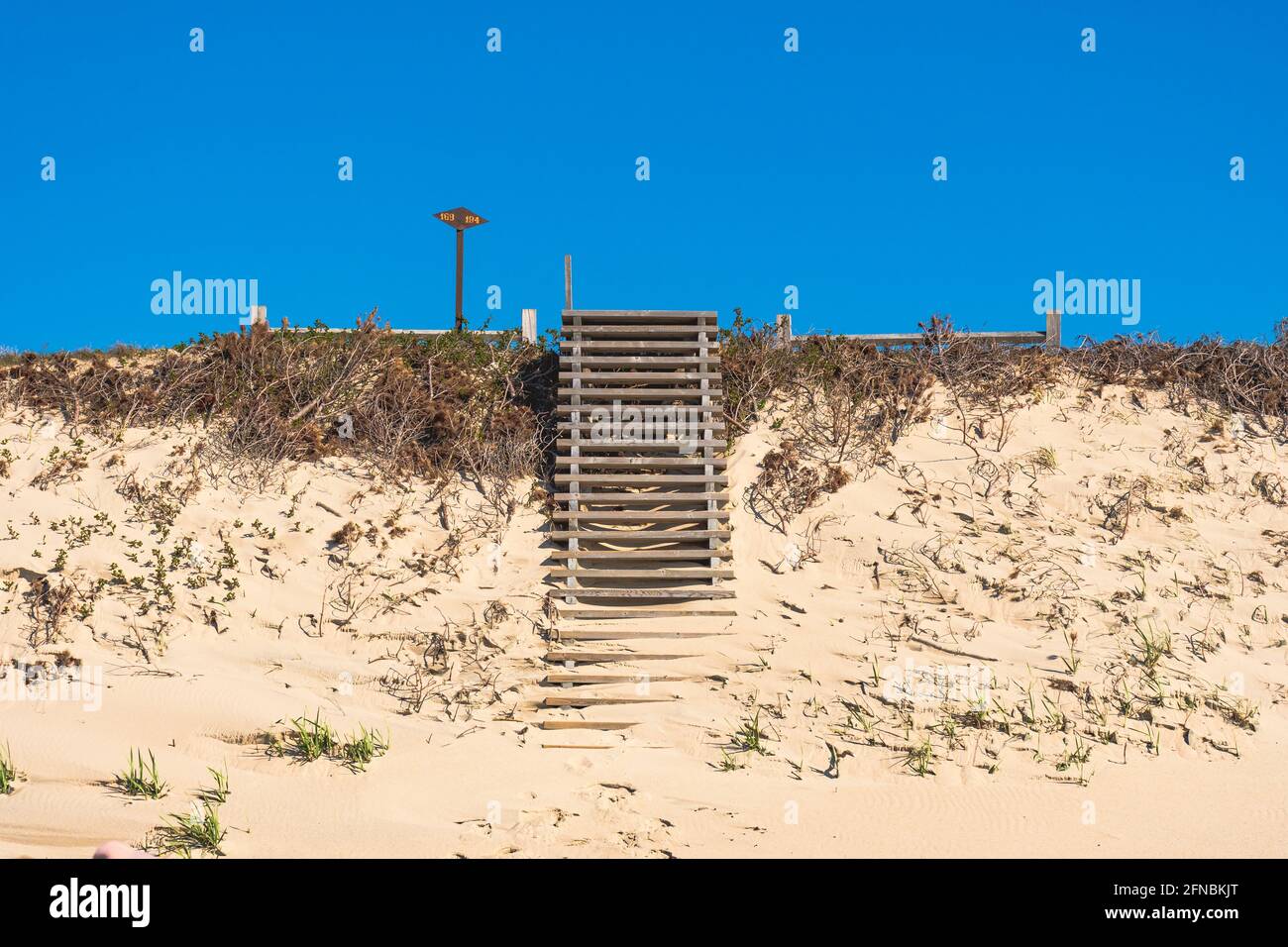Vecchie scale in legno risalenti costruite su colline di sabbia costruite da forti venti, con burroni ed erosione sul Mar Baltico con canne Foto Stock