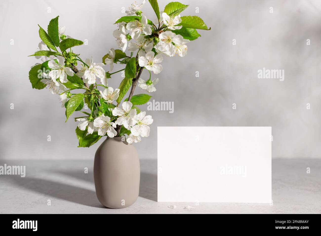 CLoxks 4 rami di ciliegio artificiali in seta da 109,2 cm, lunghi steli e fiori finti, decorazione per casa, matrimoni, feste, colore bianco