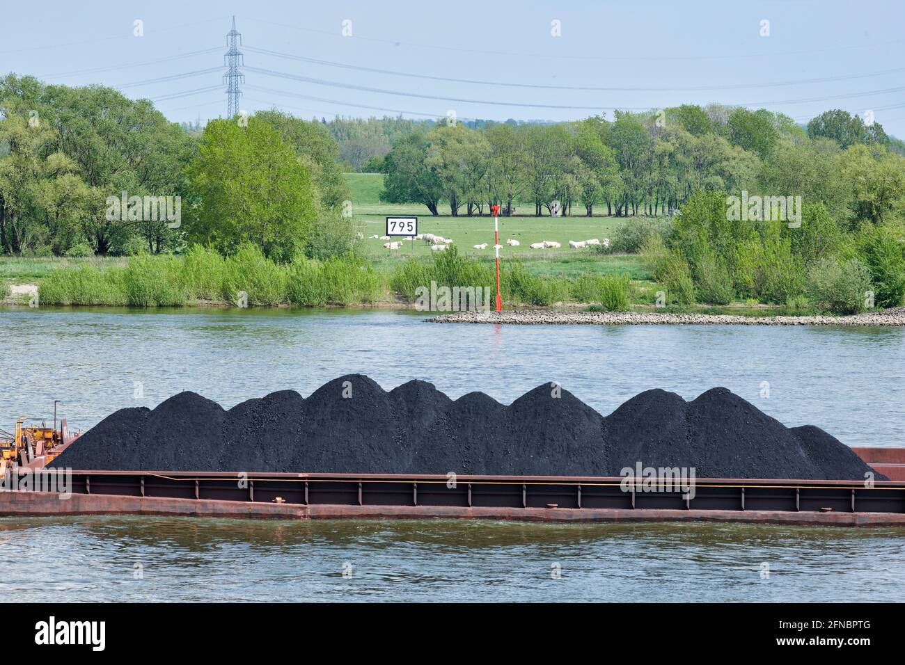 Auf dem Rhein wird Kohle auf Binnenschiffe geladen und Richtung Süden verschifft. Foto Stock