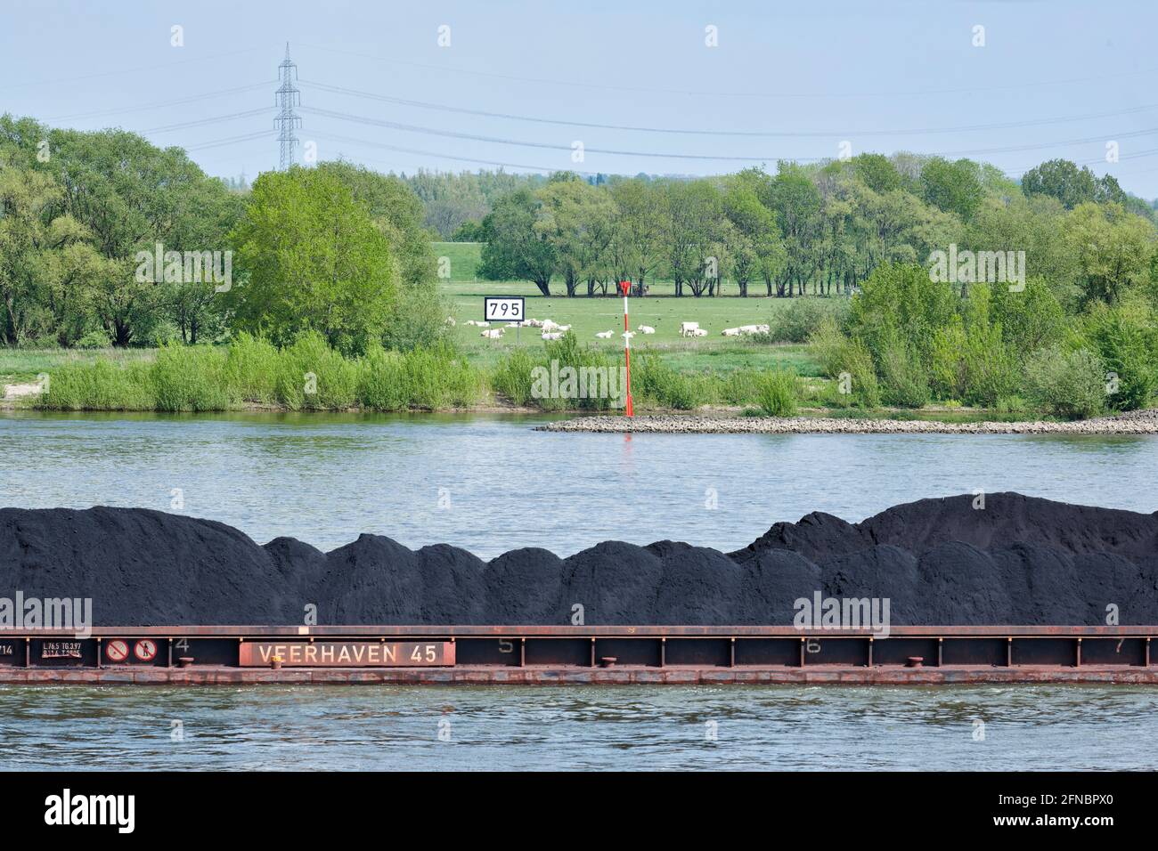Auf dem Rhein wird Kohle auf Binnenschiffe geladen und Richtung Süden verschifft. Foto Stock