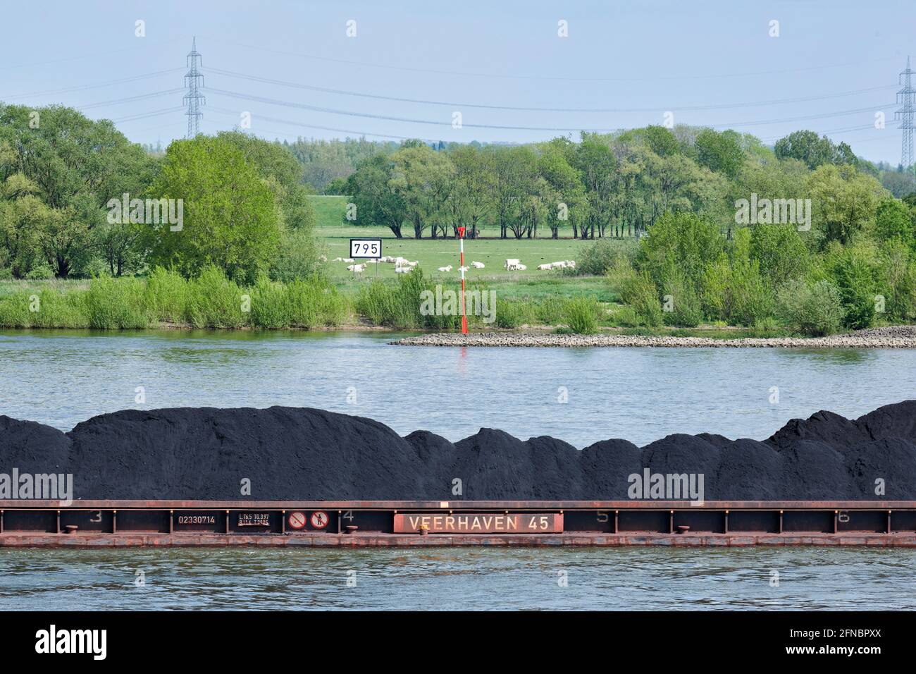 Auf dem Rhein wird Kohle auf Binnenschiffe geladen und Richtung Süden verschifft. Foto Stock