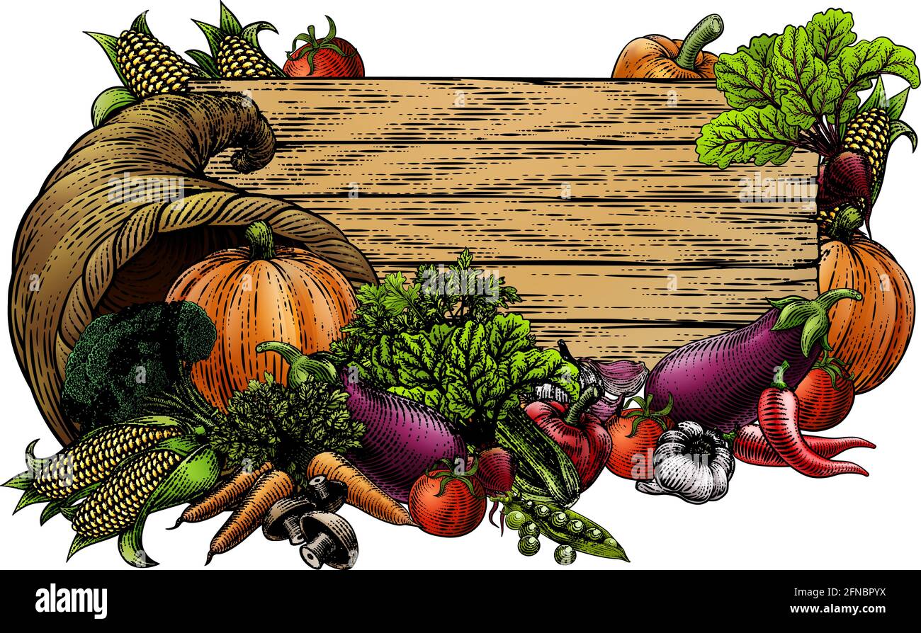 Corno di Plenty Garden verdura fresca prodotti segno Illustrazione Vettoriale