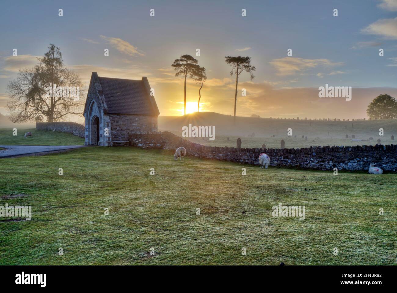 Le pecore pascolano intorno al perimetro di un cimitero all'alba nelle pianure di Curragh, Contea di Kildare, Irlanda. Foto Stock