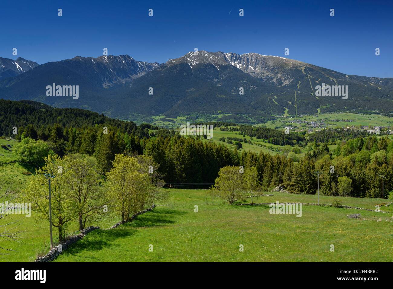 Prati verdi vicino al villaggio di la Llagonne in primavera e, sullo sfondo, la cima del Cambredase (Pirenei Orientali, Occitania, Francia) Foto Stock