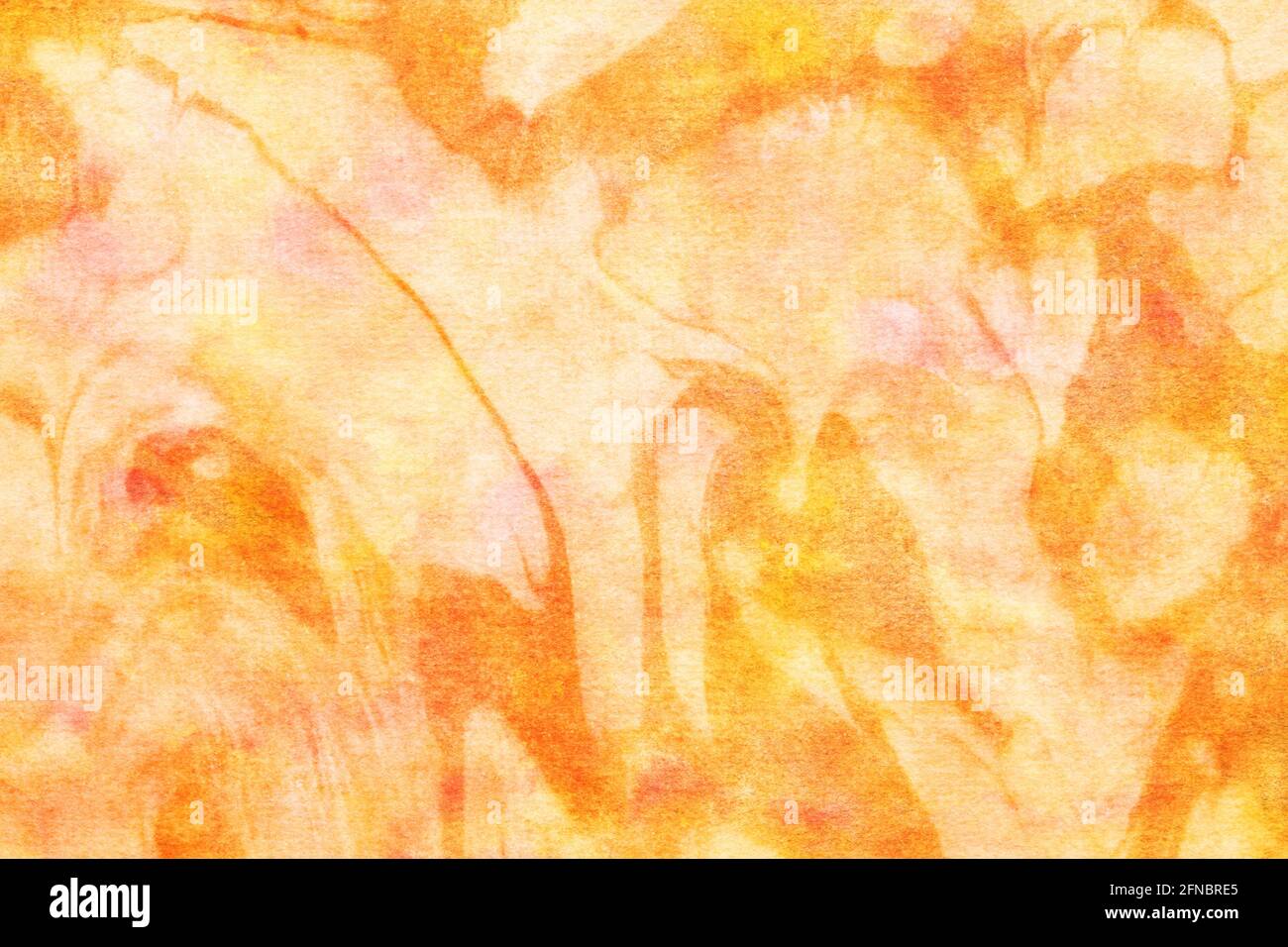 Sfondo di carta marmorizzata arancione giapponese, mescolamento inchiostro naturale, acquerello, suminagashi, arte astratta Foto Stock