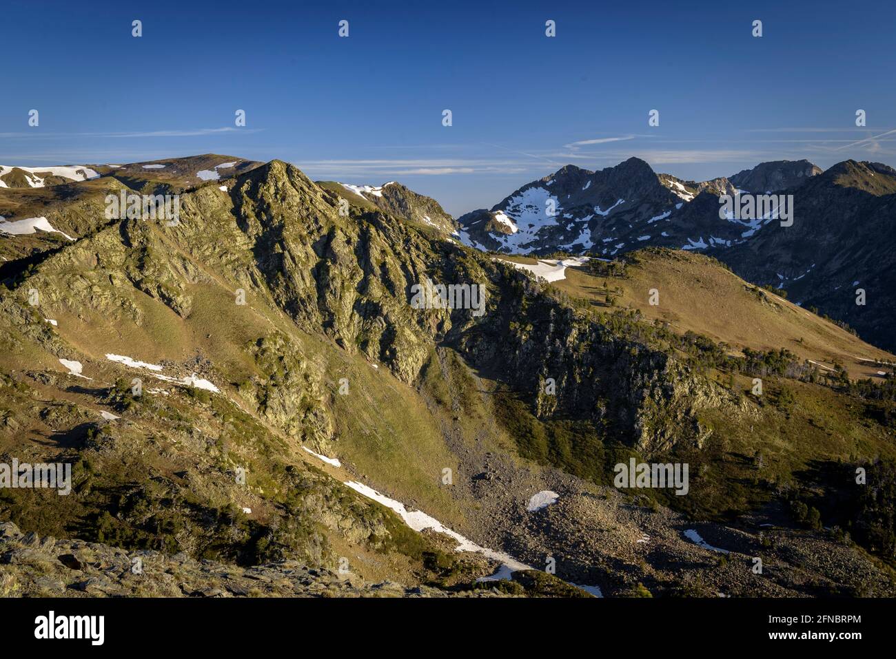 Skyline di montagna visto da Serra de Mauri, in una mattina estiva (Pirenei Orientali, Occitanie, Francia) ESP: Vista de montañas de los Pirineos Foto Stock