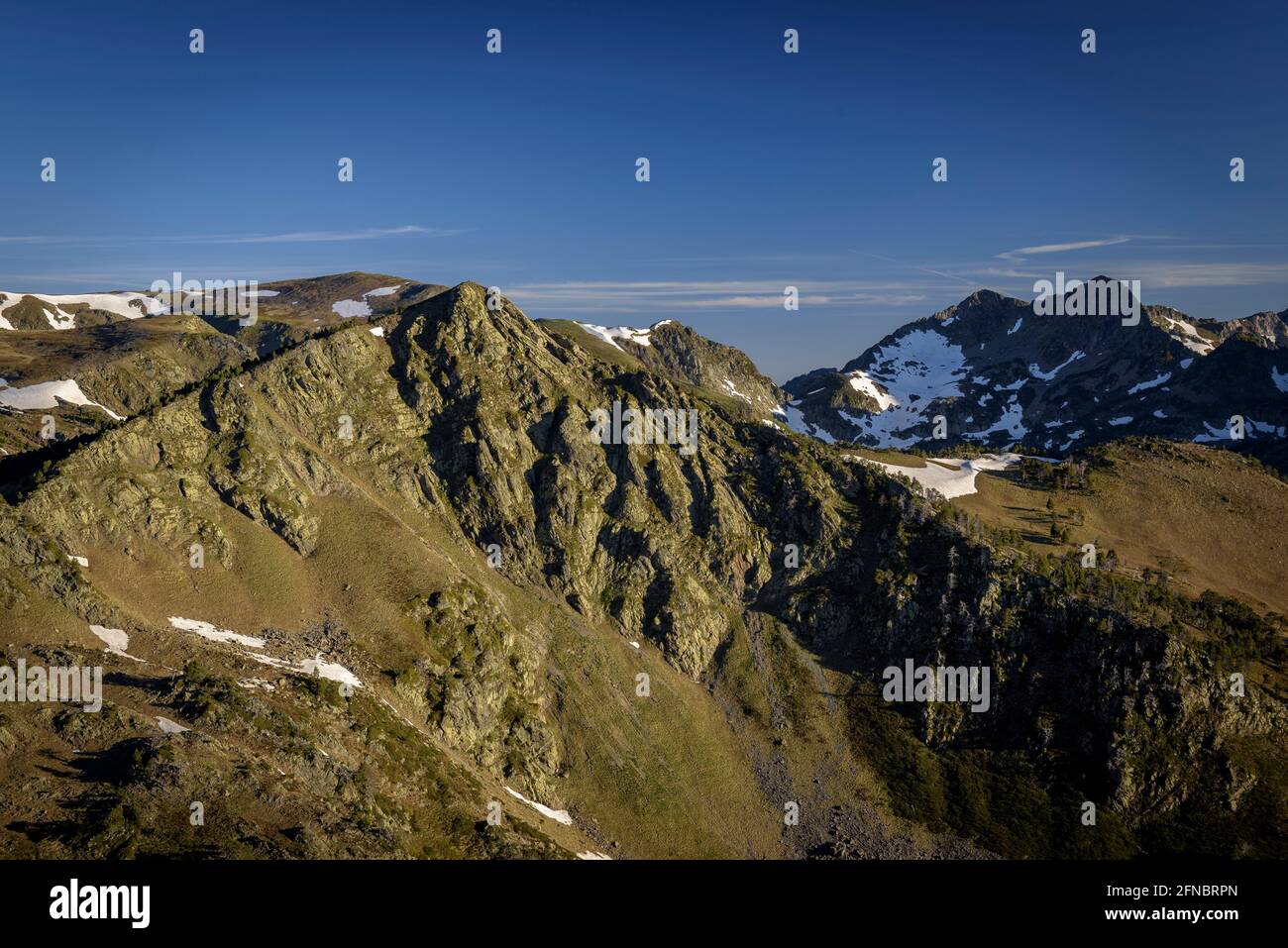 Skyline di montagna visto da Serra de Mauri, in una mattina estiva (Pirenei Orientali, Occitanie, Francia) ESP: Vista de montañas de los Pirineos Foto Stock
