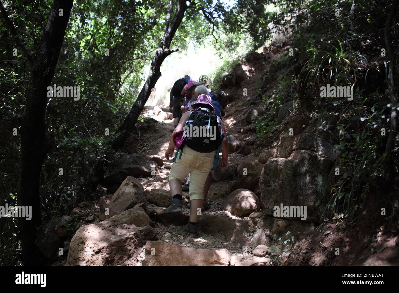 Gli adulti più anziani camminano su un sentiero nella foresta o nella zona della valle del fiume Banias una delle fonti del fiume Giordano, rocce di basalto intorno. Foto Stock