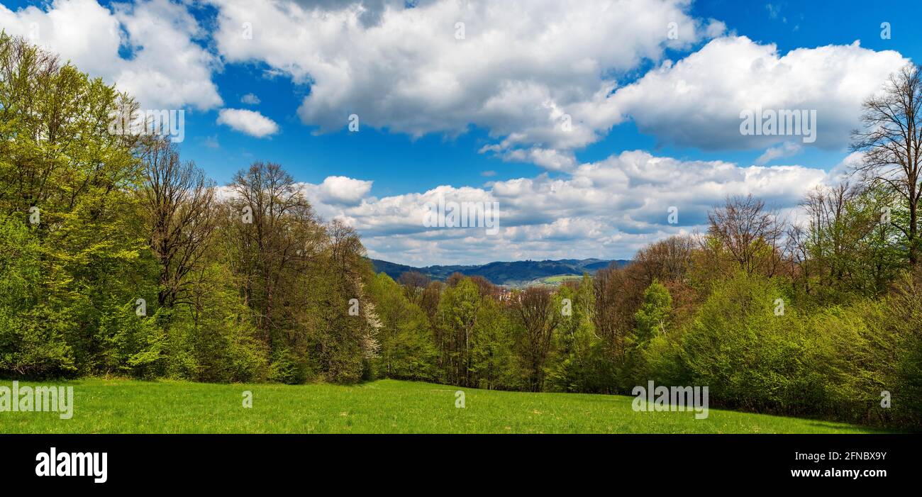 Prato fresco verde primaverile circondato da foresta, colline sullo sfondo e cielo blu con nuvole - Bile Karpaty montagne nella repubblica Ceca Foto Stock