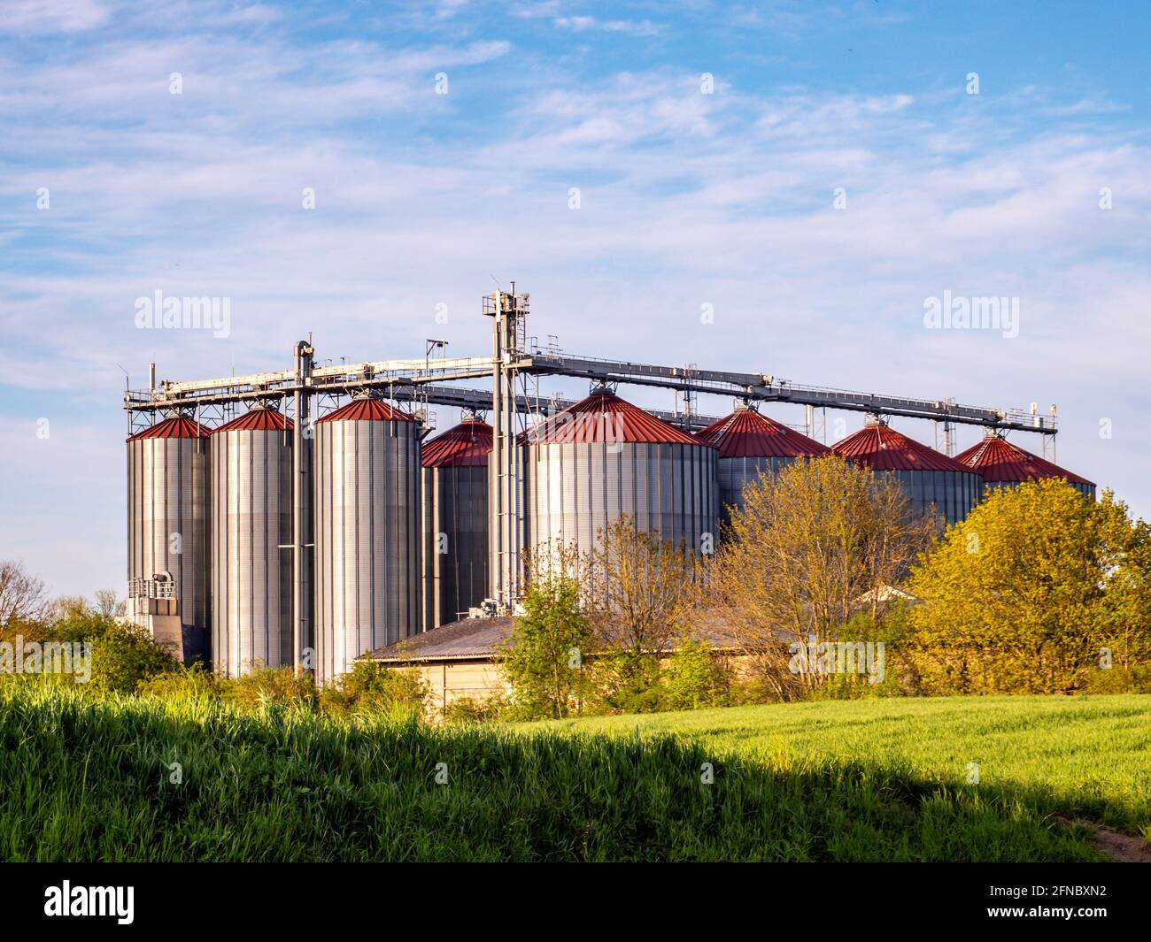 Grano silo in agricoltura economia agricola Foto Stock