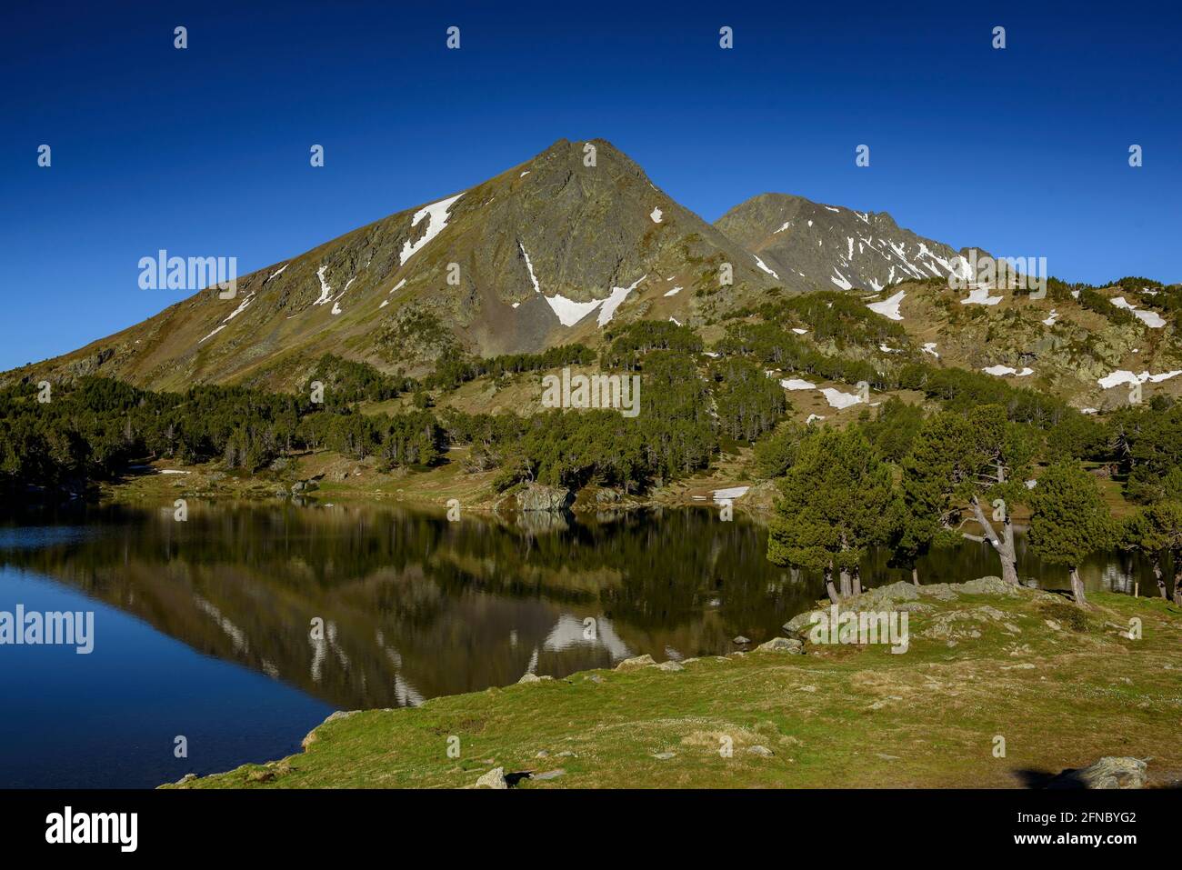 Mattina estiva nei laghi di Camporells, sotto i monti Pic Peric e Petit Peric (Pyrénées Orientales, Occitanie, Francia) Foto Stock