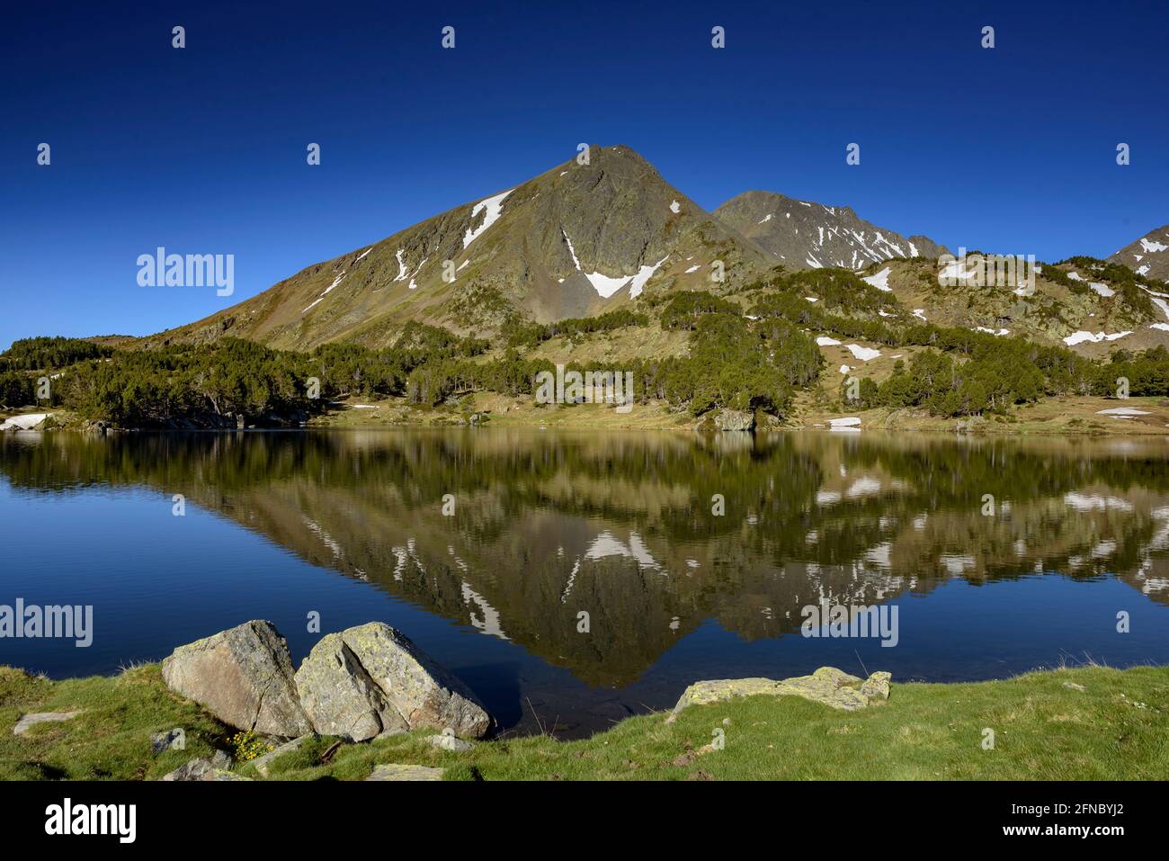 Mattina estiva nei laghi di Camporells, sotto i monti Pic Peric e Petit Peric (Pyrénées Orientales, Occitanie, Francia) Foto Stock