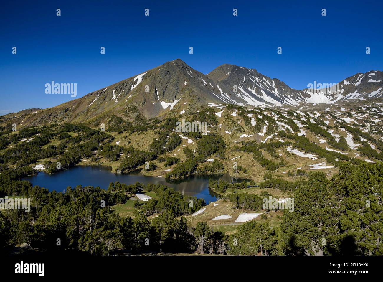 Mattina estiva nei laghi di Camporells, sotto i monti Pic Peric e Petit Peric (Pyrénées Orientales, Occitanie, Francia) Foto Stock