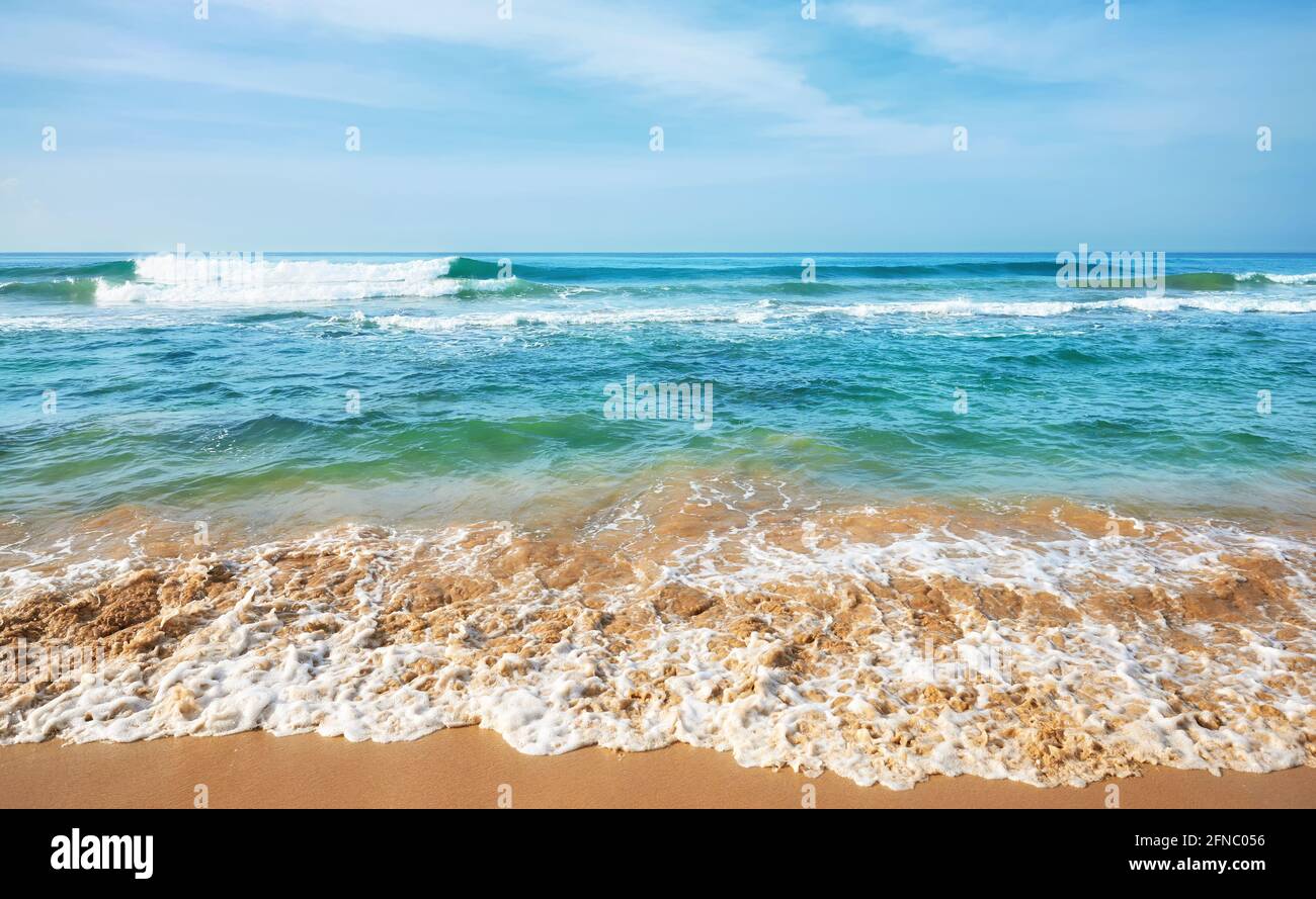 Mare con immacolata spiaggia di sabbia in una bella giornata di sole. Foto Stock