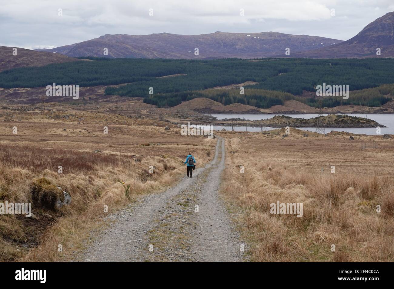 Lone donna Walker sulla strada per le isole Rannoch Moor Foto Stock