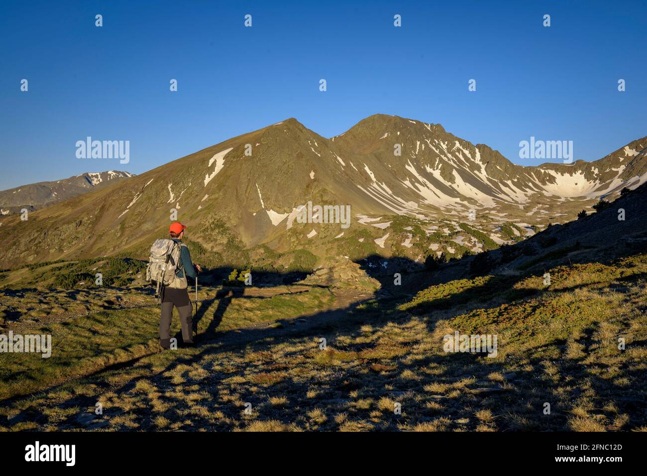 Vista delle due Pics Perics visto da Serra de Mauri, in una mattina estiva (Pirenei Orientali, Occitanie, Francia) ESP: Vista de los dos Pics Perics Foto Stock