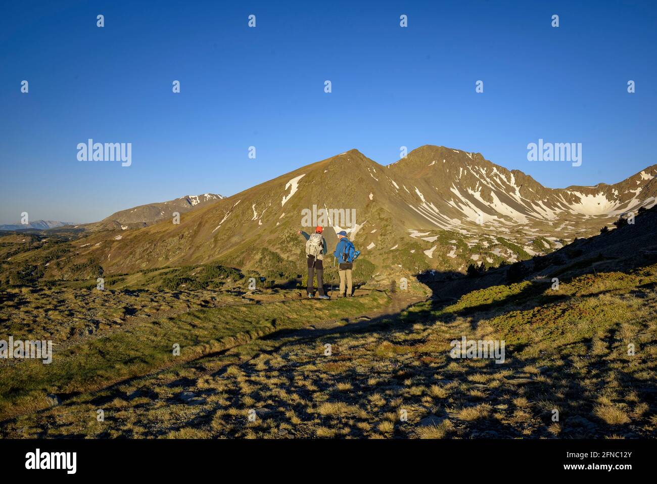 Vista delle due Pics Perics visto da Serra de Mauri, in una mattina estiva (Pirenei Orientali, Occitanie, Francia) ESP: Vista de los dos Pics Perics Foto Stock