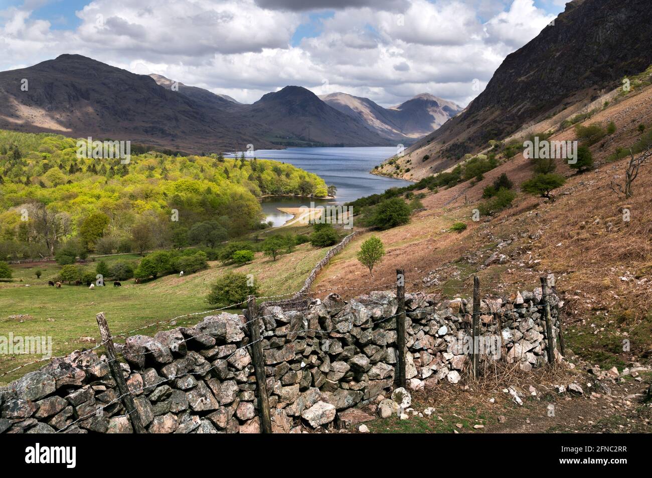 Primavera, Wasdale e Wast Water, Lake District National Park, Cumbria, Regno Unito. Foto Stock