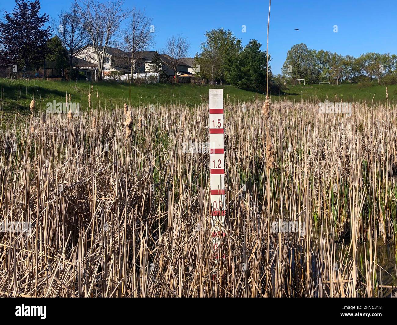 Bastone di misurazione della profondità dell'acqua in un laghetto di gestione delle acque piovane a Londra, Ontario, Canada. Circondato da stalle. Misura di prevenzione delle inondazioni. Foto Stock
