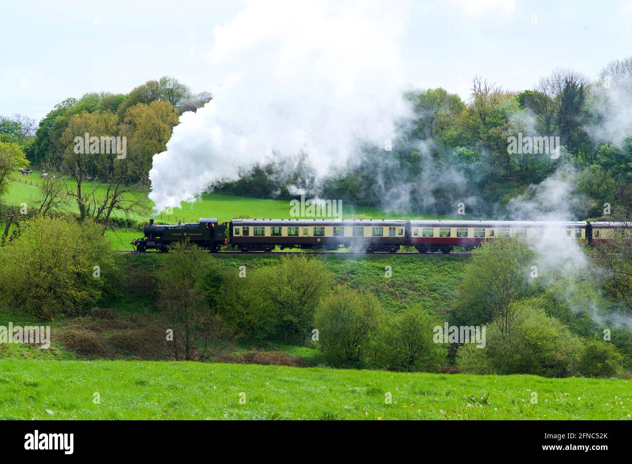 La 'East Somerset Railway', Cranmore, Regno Unito Foto Stock