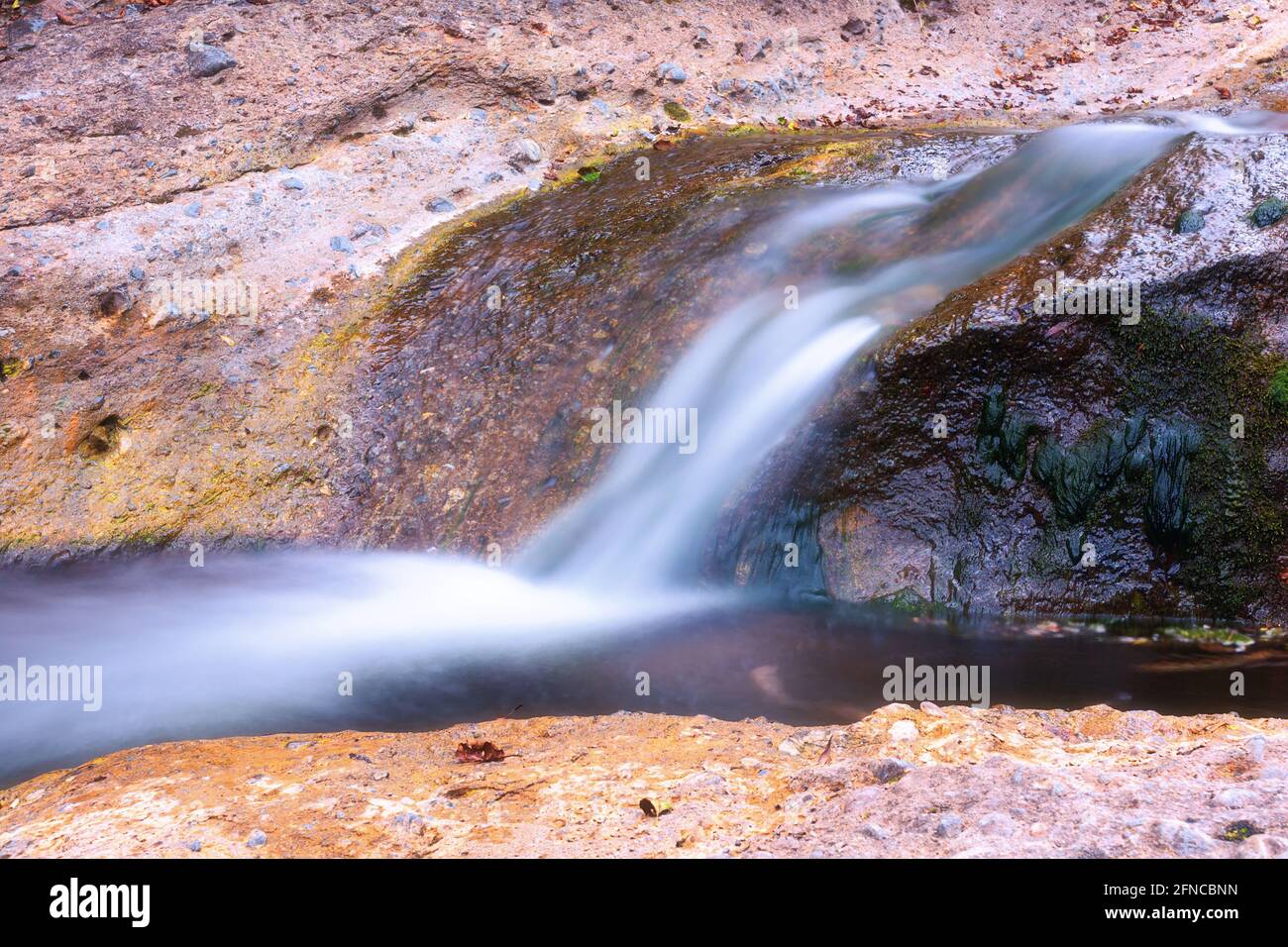 Particolare di una bella cascata in montagna Afuseni, Transilvania Foto Stock