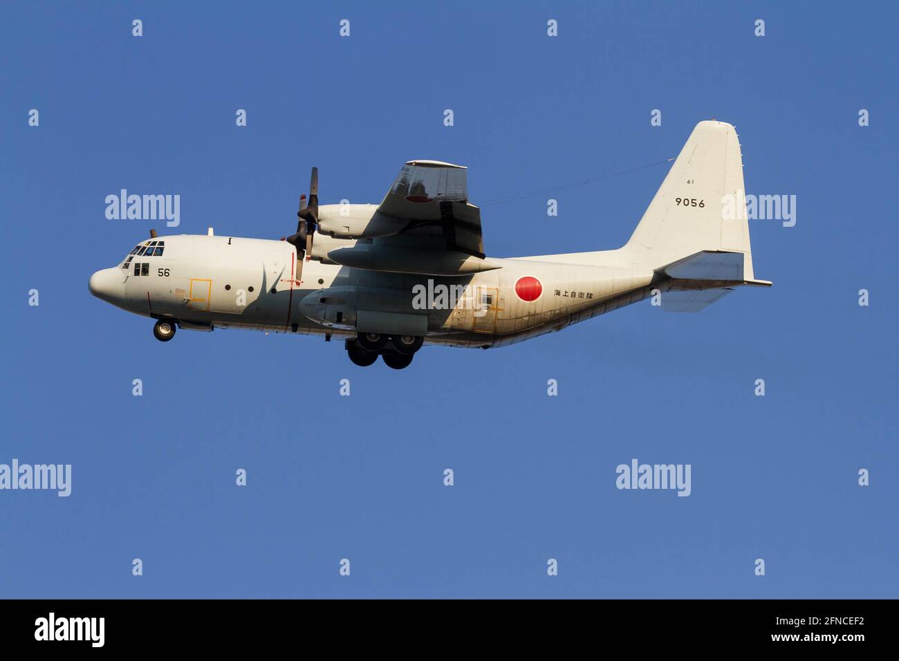 Un Lockheed Martin C130-J Hercules, velivolo militare, con la forza marittima giapponese di autodifesa (JMSDF) vola vicino alla base aerea Naval Air Facility, Atsugi a Yamato. (Foto di Damon Coulter / SOPA Images/Sipa USA) Foto Stock