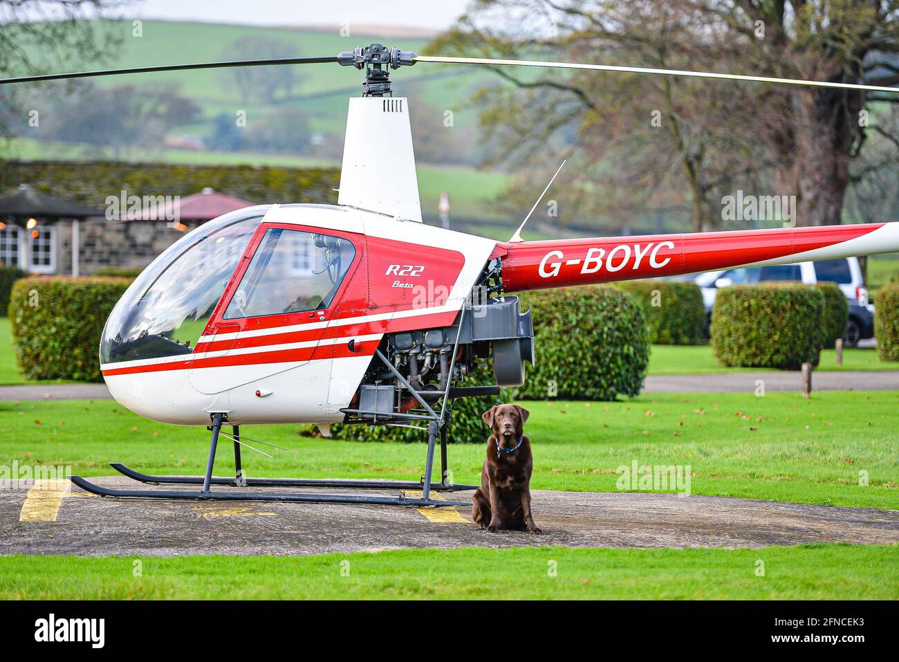 Un elicottero e un cane fuori dal Devonshire Arms Hotel & Spa - Skipton Foto Stock