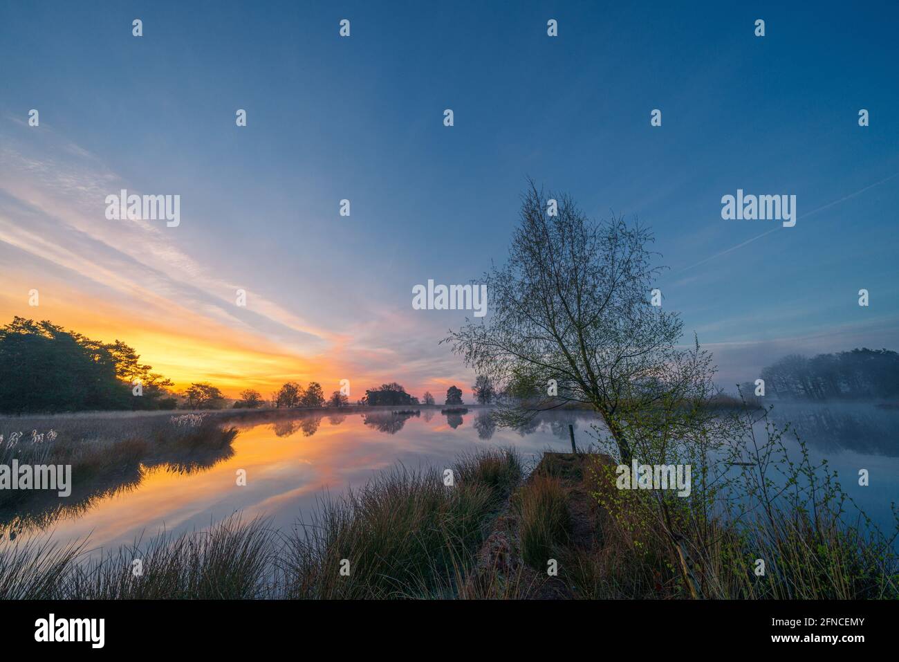 In un lago di brughiera sul Dwingelderveld in provincia di Drenthe nei Paesi Bassi, l'alba colora il cielo. Dwingeloo, Drenthe, Paesi Bassi Foto Stock