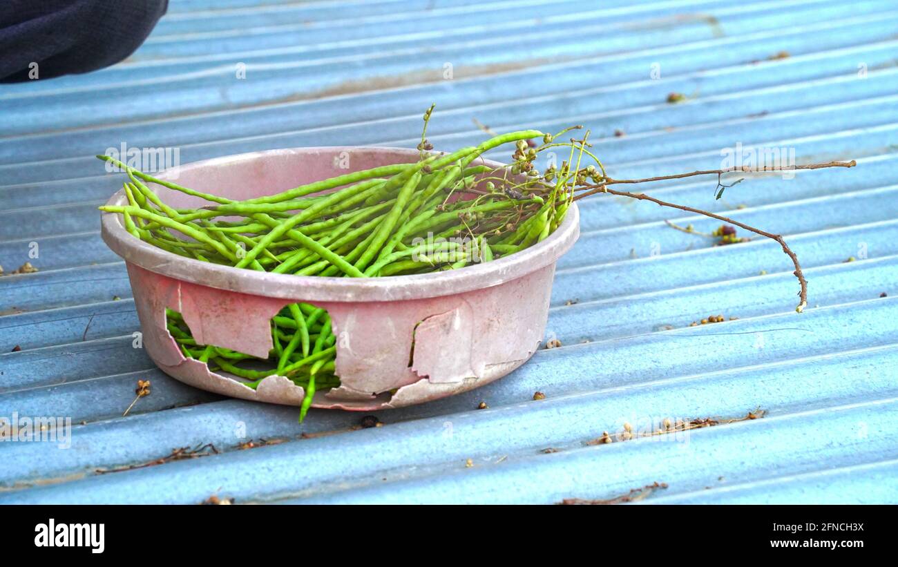 Saangari verdi freschi in un secchio di plastica rotto. Concetto di verdure. Foto Stock