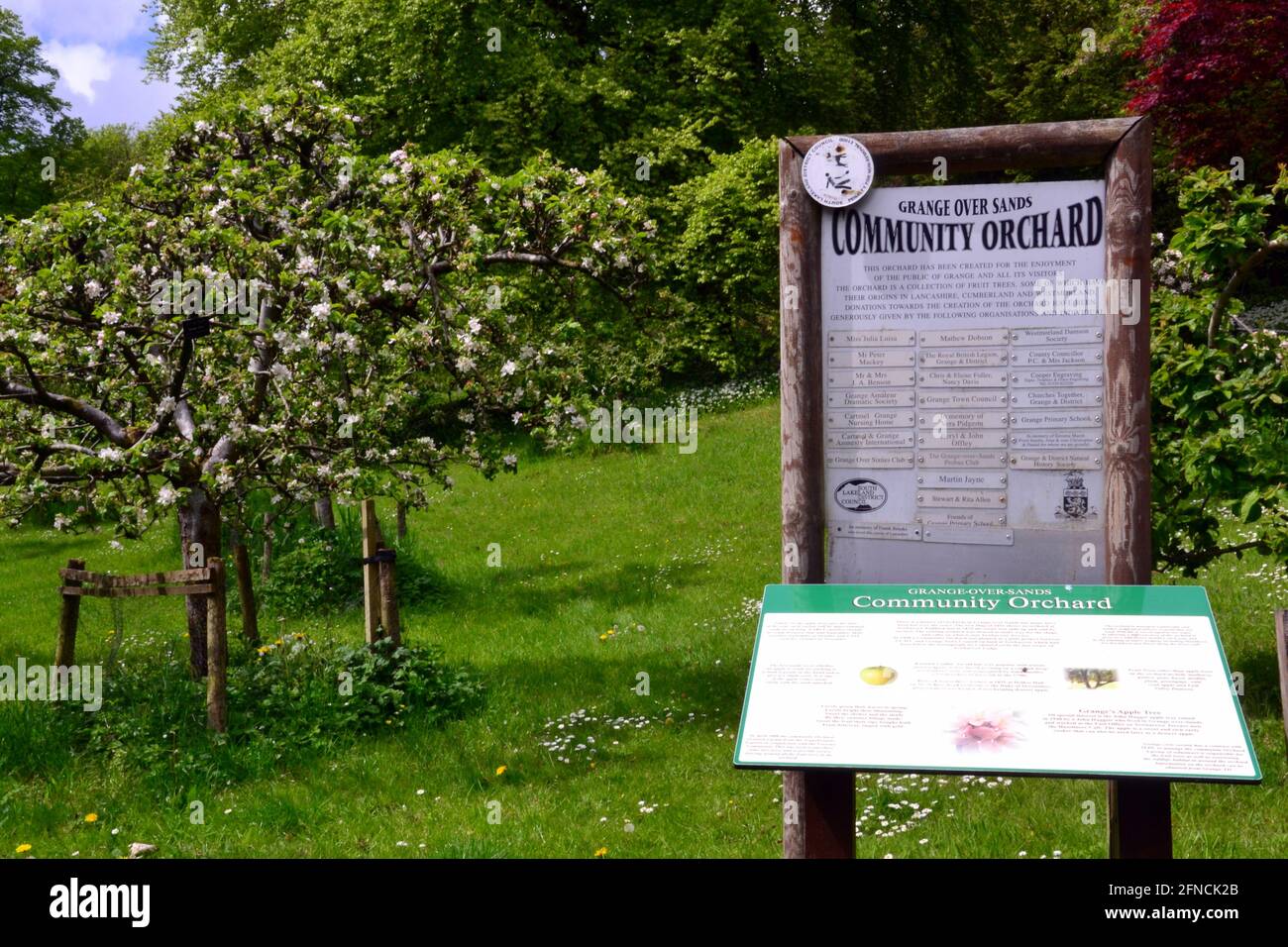 Segno a Community Orchard, alberi sullo sfondo, a Grange su Sands Cumbria, regno unito Foto Stock