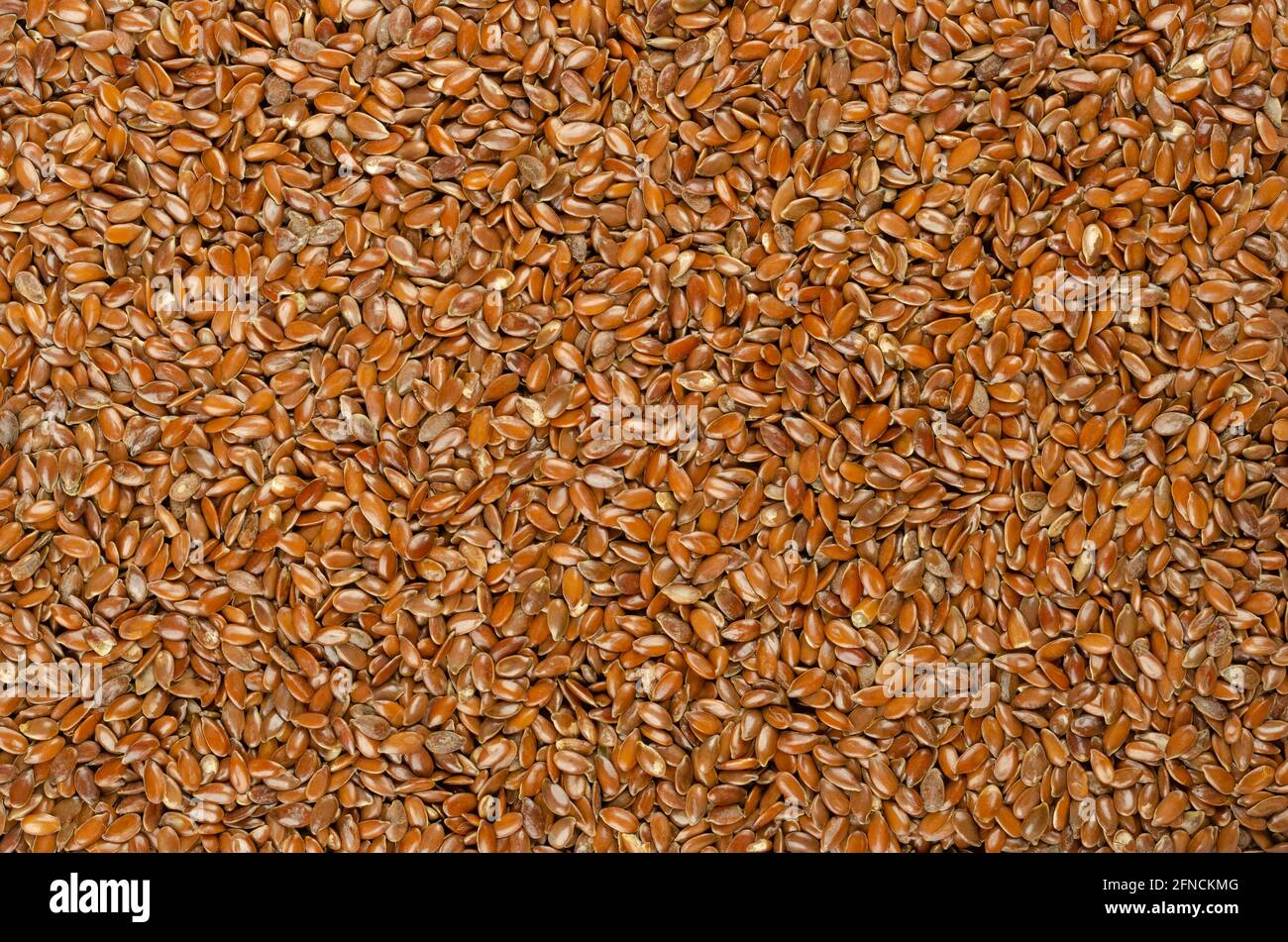 Semi di lino marroni, sfondo, dall'alto. Semi di lino grezzi interi, frutti di Linum usitatissimum, ricchi di acidi grassi omega-3. Un supplemento nutrizionale. Foto Stock