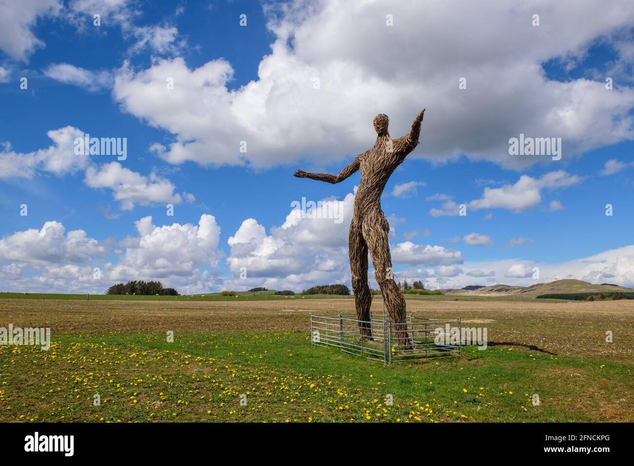 La scultura uomo di Wicker presso la fattoria di Kirkcarsewell Est vicino a Kirkcudbright. Scozia Foto Stock