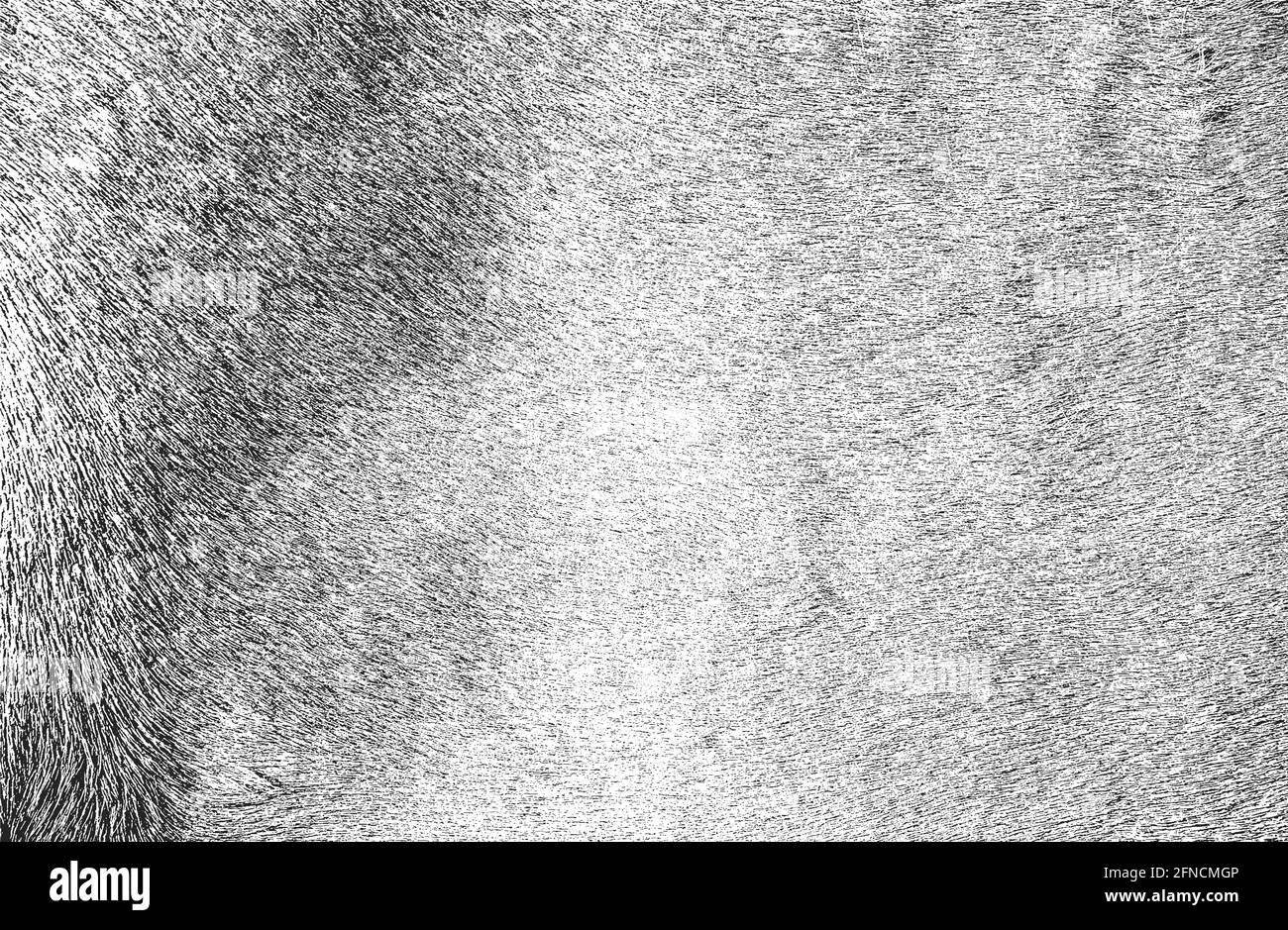 Texture di rivestimento in grunge, pelle naturale, sfondo vettoriale. Illustrazione vettoriale halftone astratta Illustrazione Vettoriale