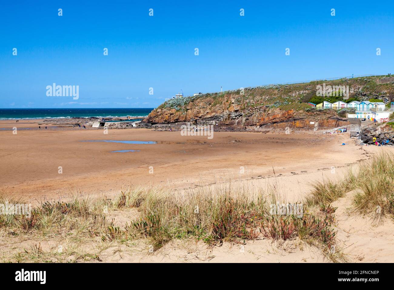 Golden Sand Summerleaze Beach Bude Cornwall Inghilterra Regno Unito Foto Stock