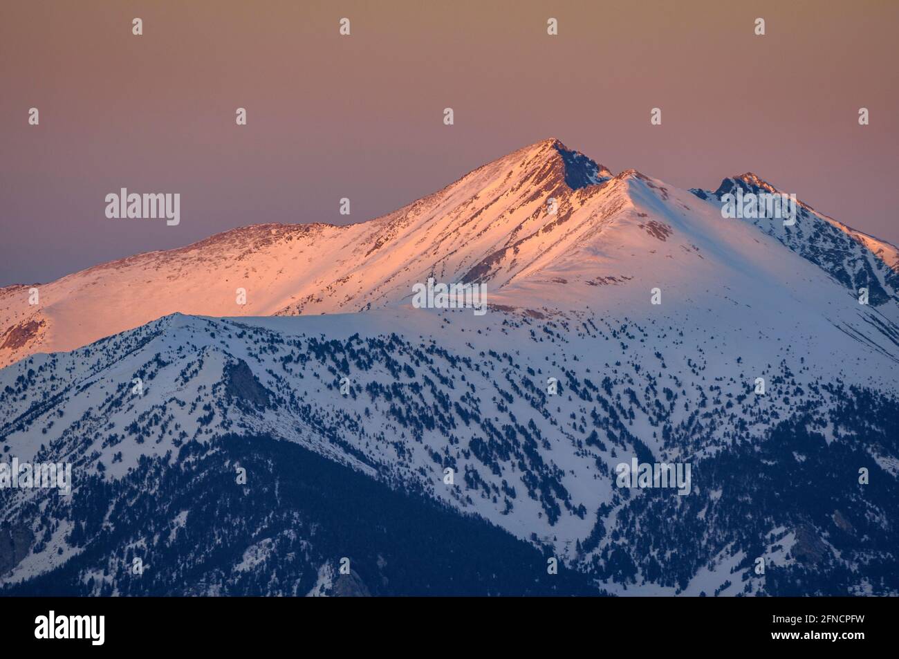 Tramonto invernale visto da vicino Pic de la Dona guardando al massiccio del Canigou. (Pyrénées Orientales, Occitanie, Francia) Foto Stock