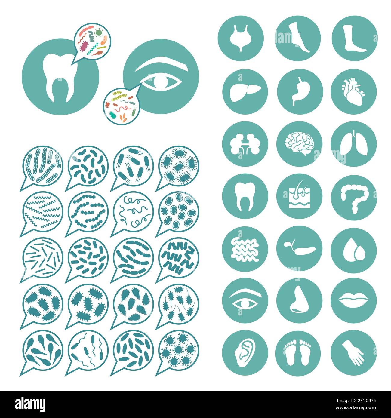 batteri, infezione da virus, illustrazione della malattia Illustrazione Vettoriale