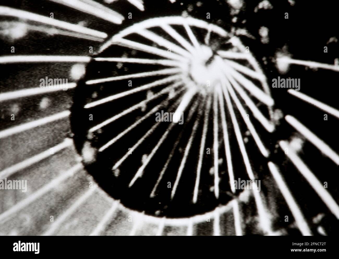 Arte per amor d'arte, forma astratta in bianco e nero per l'avventura trippy LSD Foto Stock