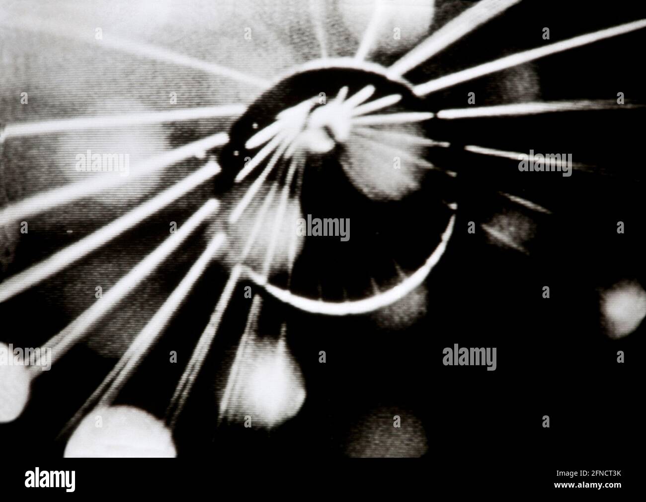 Arte per amor d'arte, forma astratta in bianco e nero per l'avventura trippy LSD Foto Stock