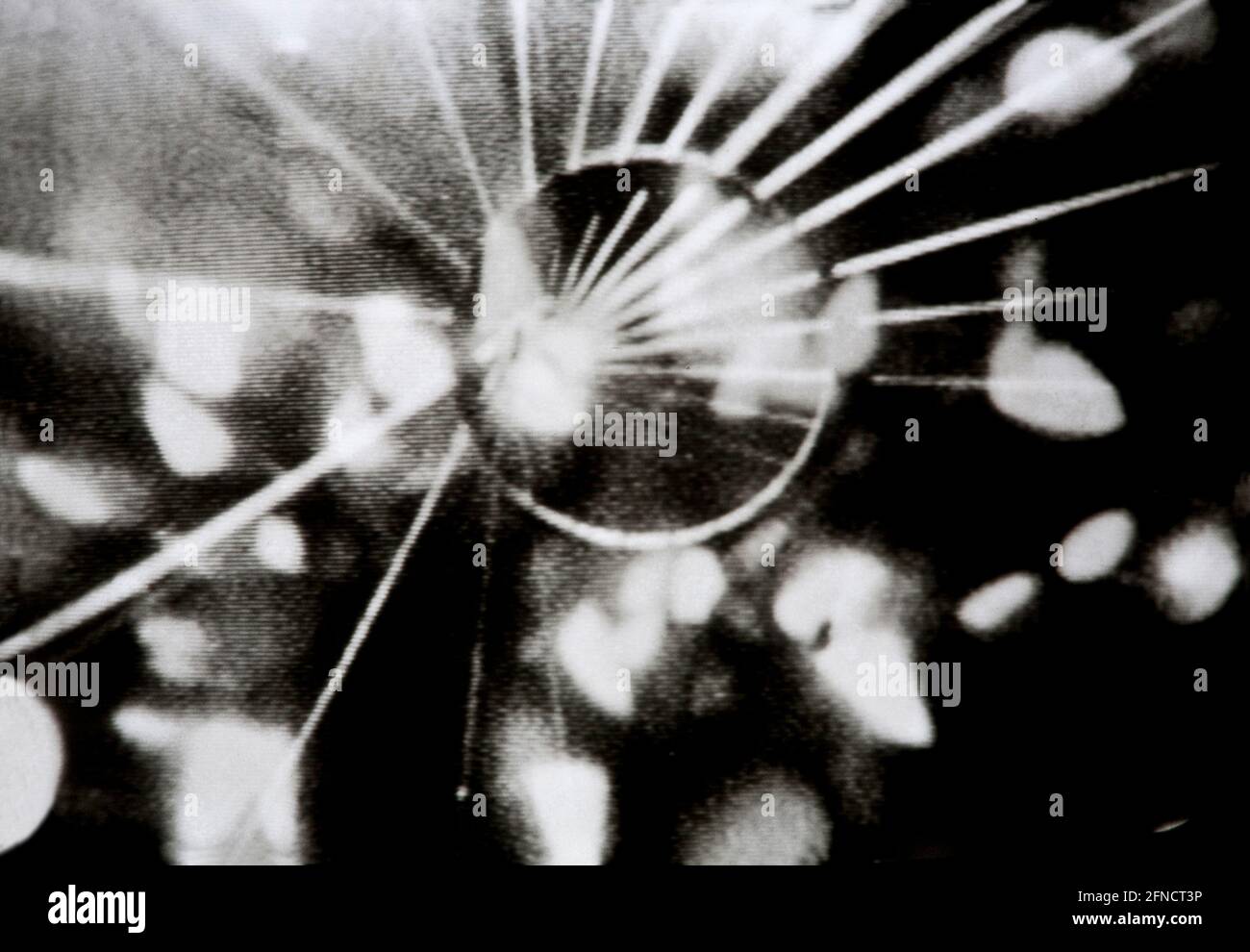 Arte per amor d'arte, forma astratta in bianco e nero per l'avventura trippy LSD Foto Stock