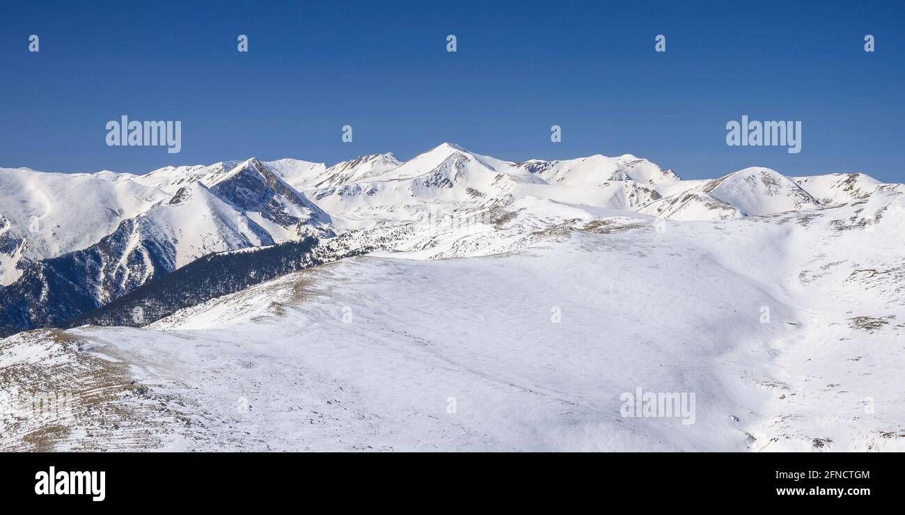 Vista sulla cima Costabona in inverno, guardando la regione di Vallter e Bastiments, nei Pirenei orientali (Ripollès, Catalogna, Spagna) Foto Stock