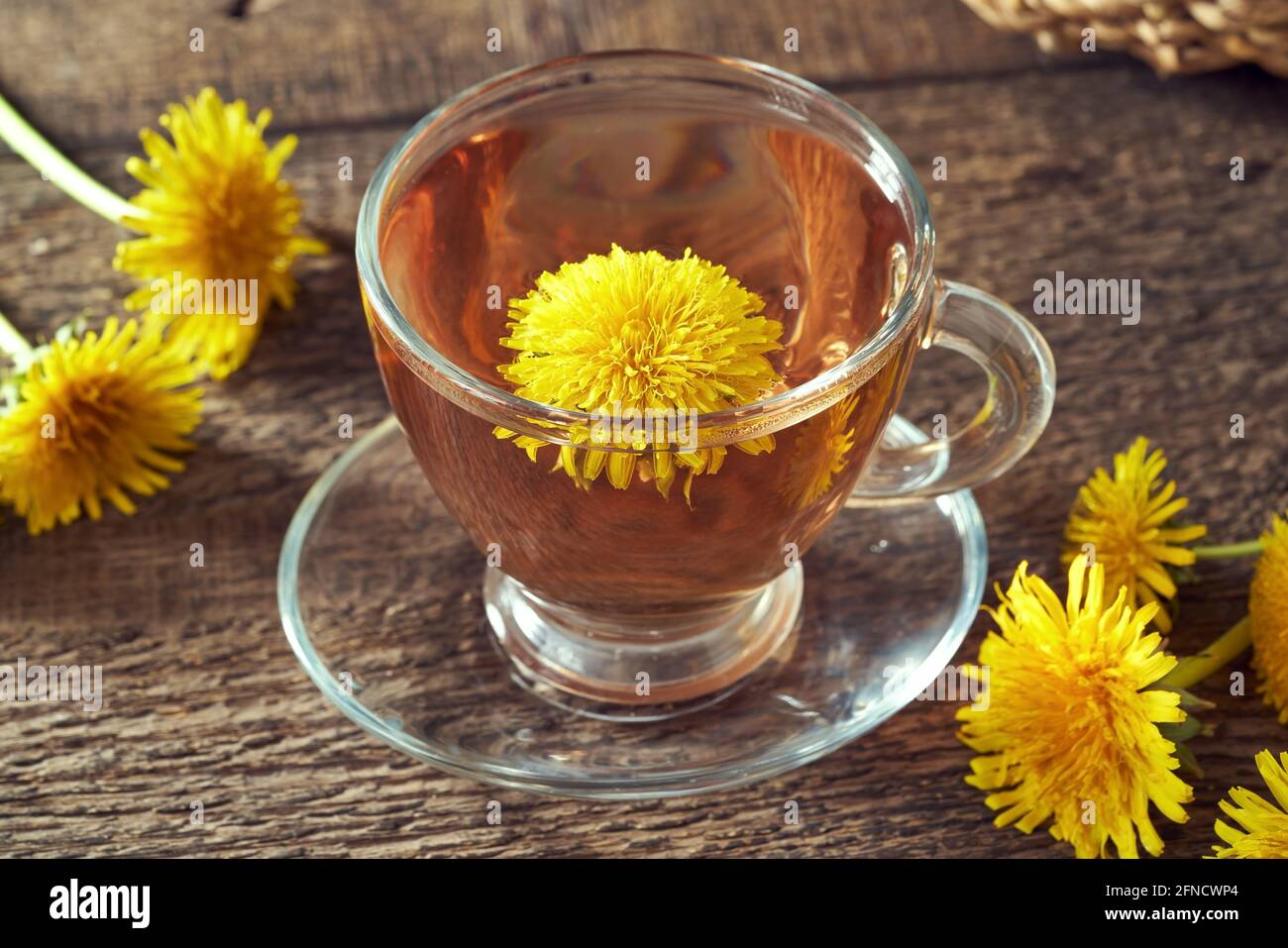 Una tazza di tè al dente di leone con fiori freschi di taraxacum. Concetto di medicina alternativa. Foto Stock