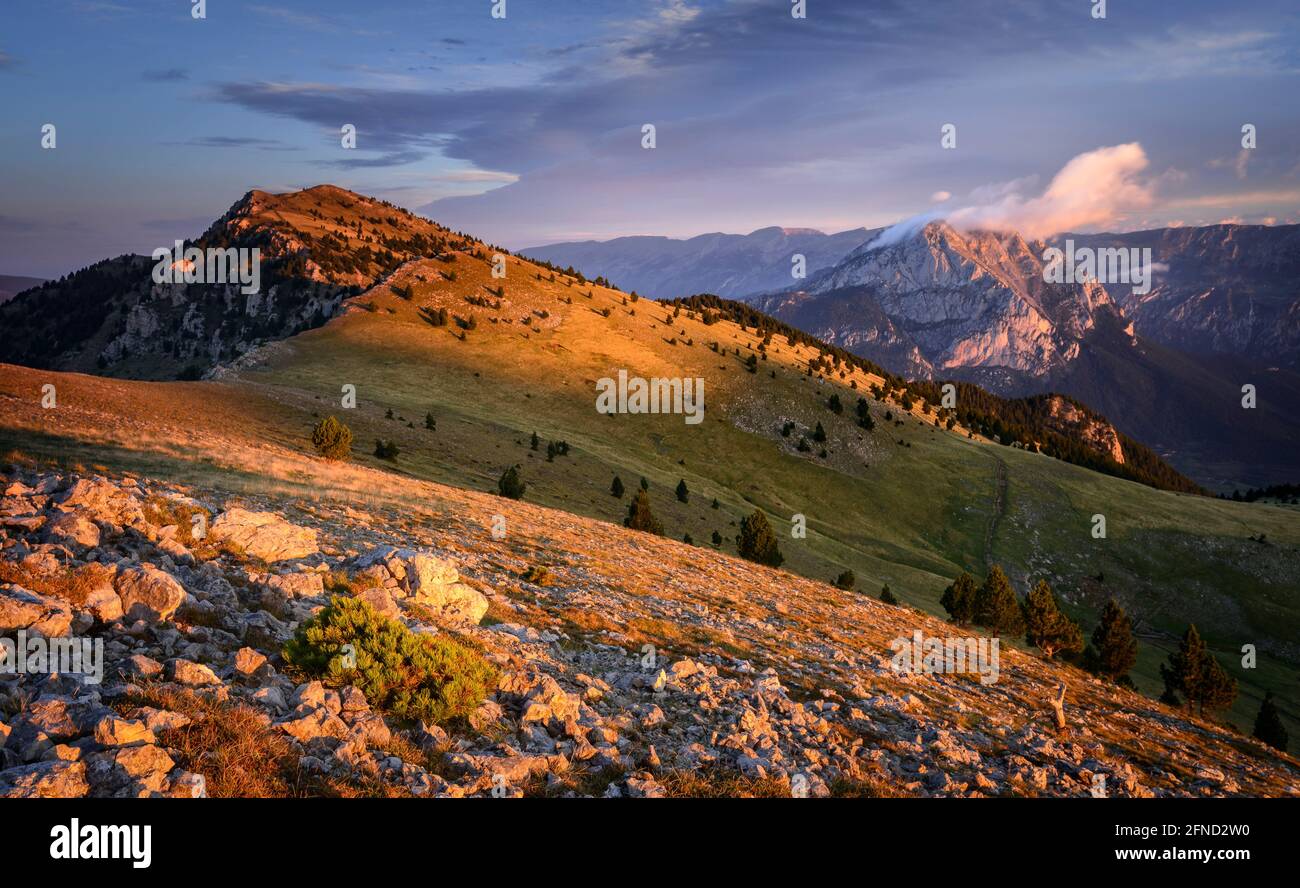 Alba sulla montagna Serra de Ensija, con il massiccio della Pedraforca sullo sfondo (Berguedà, Catalogna, Spagna, Pirenei) Foto Stock