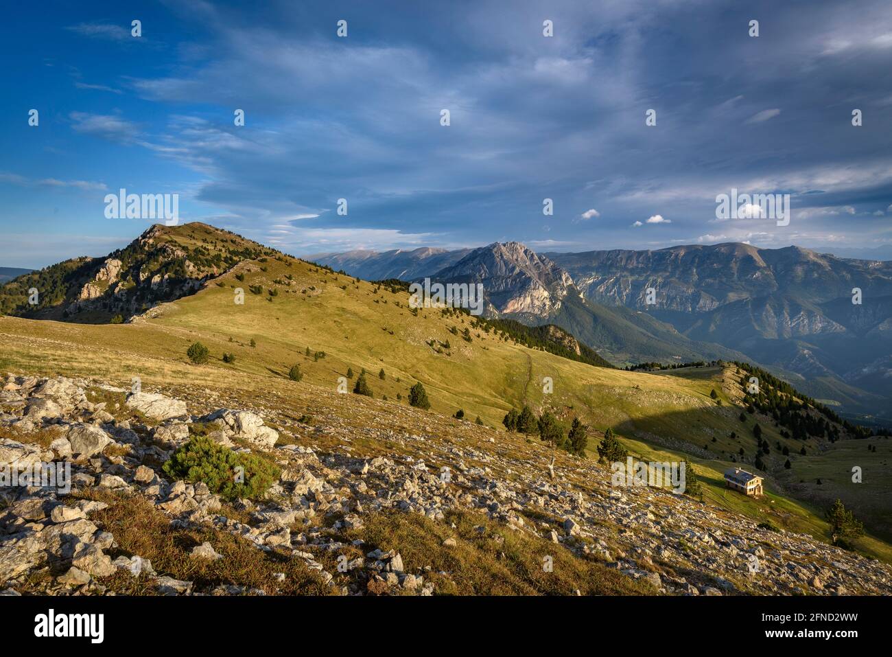 Alba sulla montagna Serra de Ensija, con il massiccio della Pedraforca sullo sfondo (Berguedà, Catalogna, Spagna, Pirenei) Foto Stock