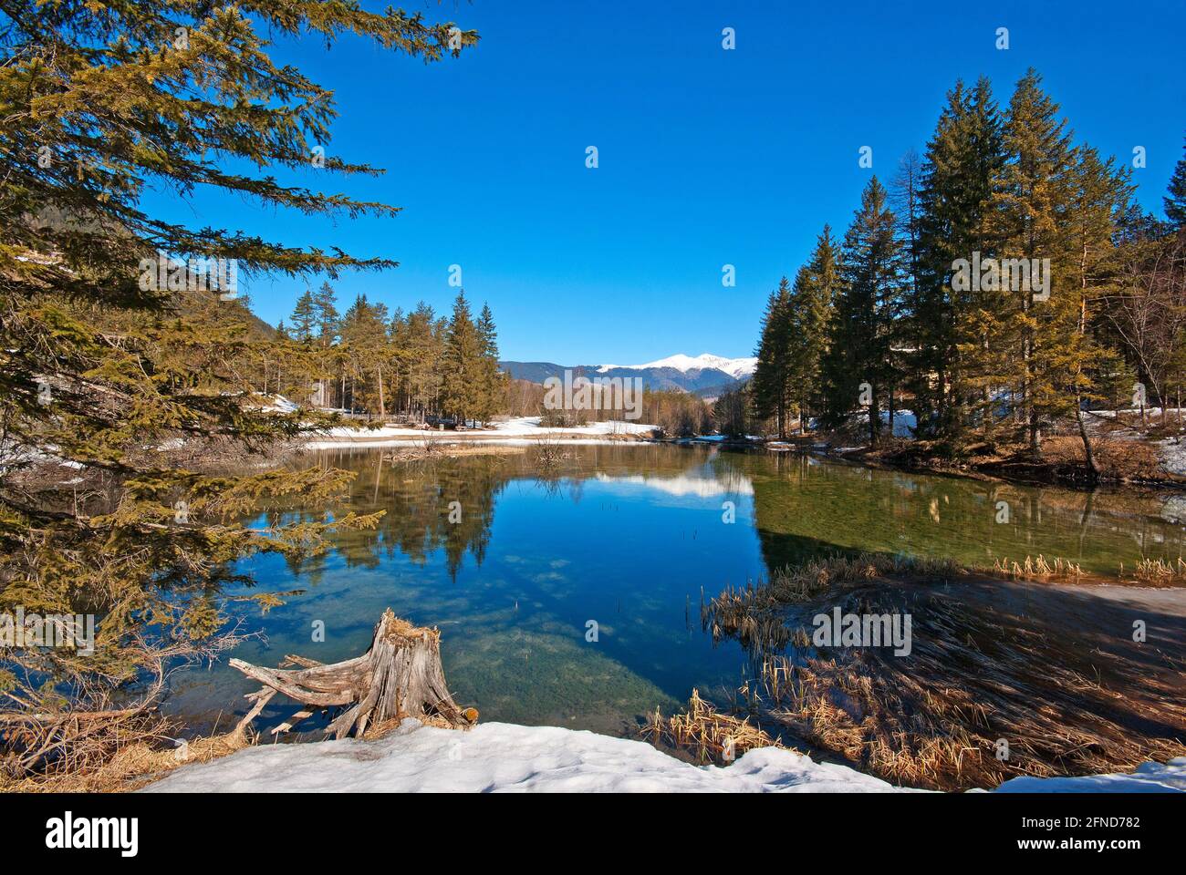 Fiume Rienza, affluente ed emissario del lago di Dobbiaco, Val Pusteria, Trentino-Alto Adige, Italia Foto Stock