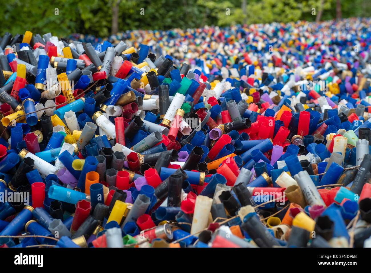 Molti colorati shotgun spesi gusci esposti di fronte a un poligono di tiro nel Regno Unito. Molti colori e calibri differenti, concetti di tiro di creta, guerra, Foto Stock