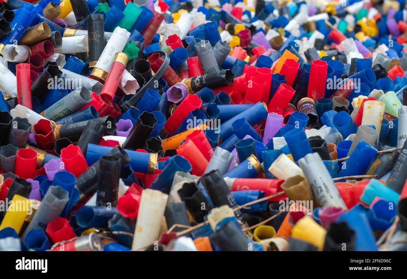 Molti colorati shotgun spesi gusci esposti di fronte a un poligono di tiro nel Regno Unito. Molti colori e calibri differenti, concetti di tiro di creta, guerra, Foto Stock