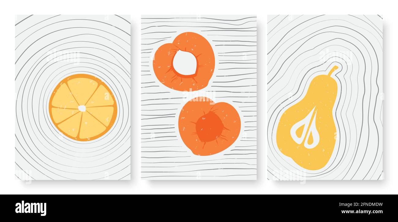 Frutti estivi, astratto minimal contorno arte vettoriale set di illustrazione. Linee semplici disegnate a mano alla moda, frutta intera, metà e fette di arancio di pera di pesca, storie di social media e modello post Illustrazione Vettoriale