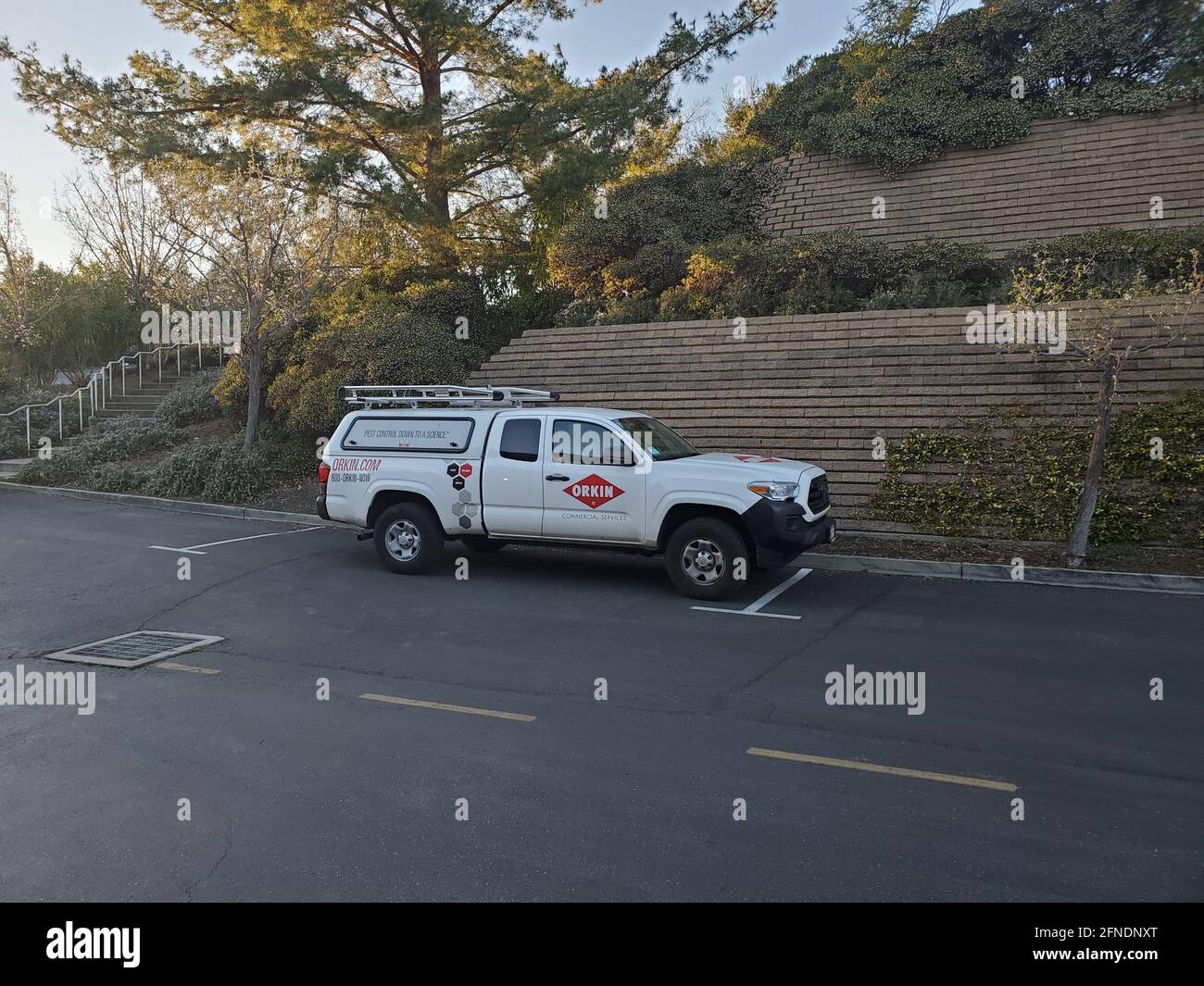 Un'ampia foto di un camion di controllo dei parassiti Orkin parcheggiato in parallelo accanto a un muro di contenimento in mattoni in una sezione verdeggiante di Risa Road a Lafayette, California, 24 febbraio 2021. () Foto Stock