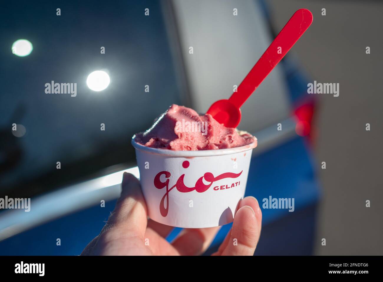 Primo piano di una persona che tiene una tazza di carta di gelato alla fragola con il logo Gio gelati visibile, a San Ramon, California, 18 dicembre 2020. () Foto Stock