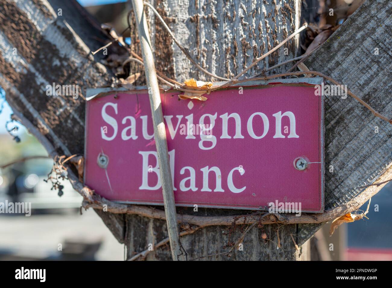 Primo piano di un cartello rosso con la scritta "Sauvignon Blanc" inchiodato a una postazione di legno presso la V. Sattui Winery di St Helena, California, 6 febbraio 2021. () Foto Stock